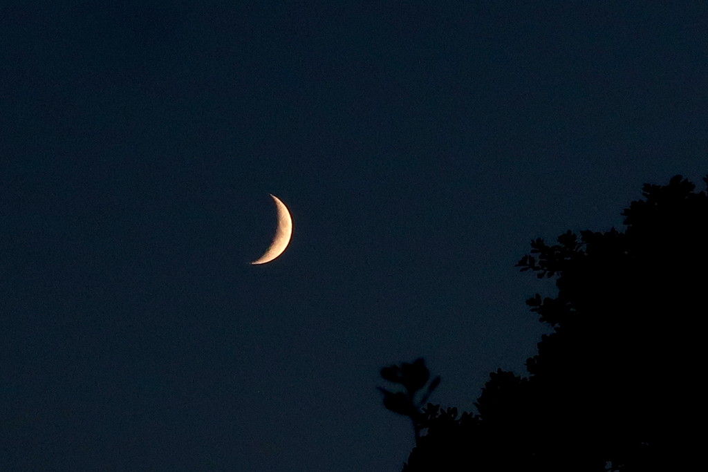New Moon by davemockford