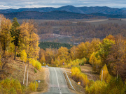 3rd Oct 2019 - South Ural
