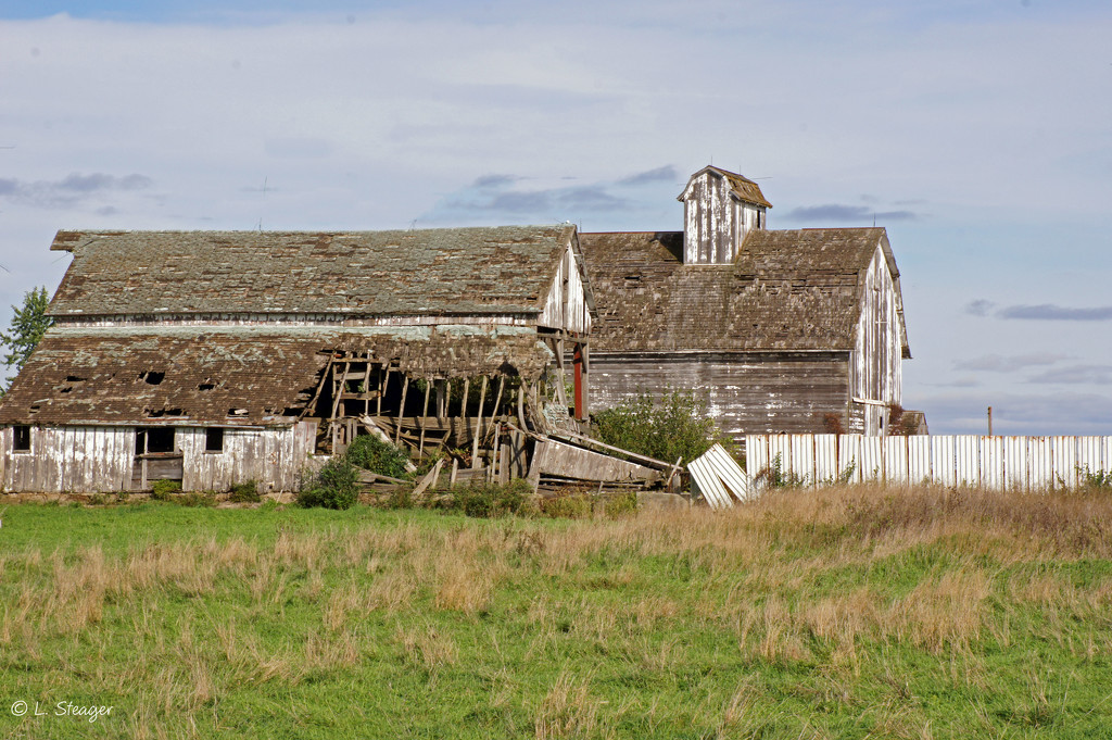 Old Barn by larrysphotos