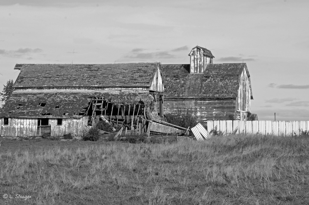 Old Barn B&W by larrysphotos