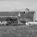 Old Barn B&W by larrysphotos