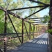 Poudre River Trail Bridge by sandlily