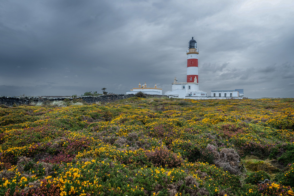 The Point of Ayre by ellida