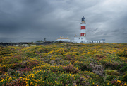3rd Oct 2019 - The Point of Ayre