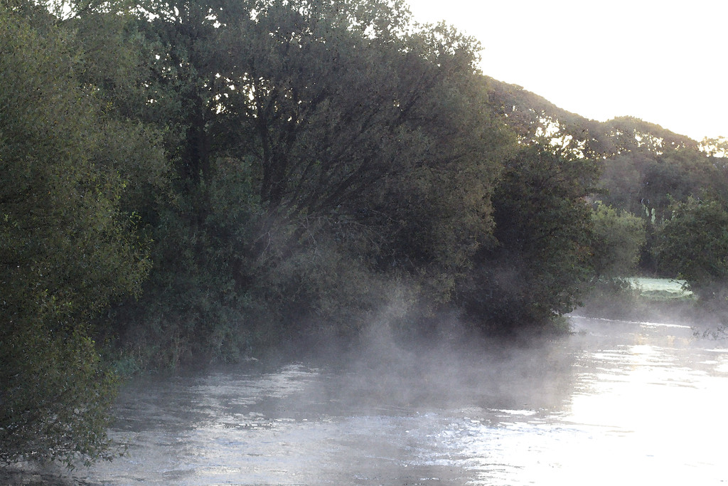 misty river by callymazoo
