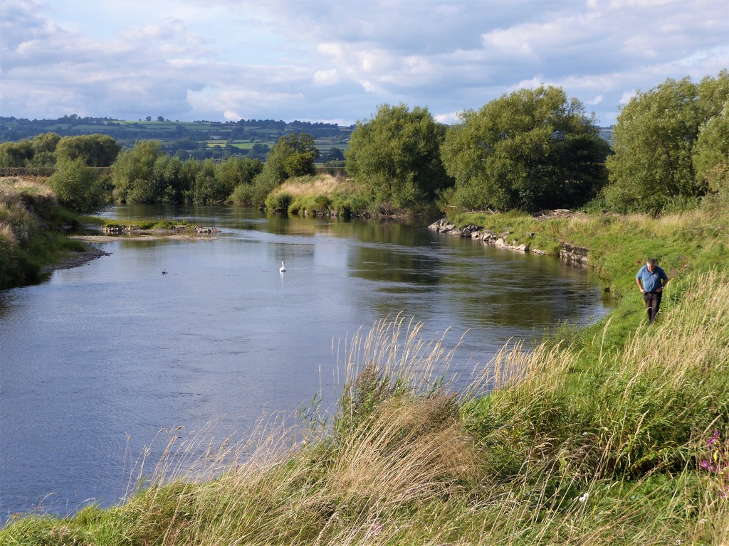  A Short Walk to the River Wye  by susiemc