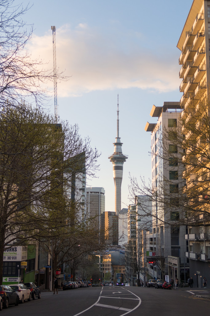 Sky tower, Auckland by creative_shots