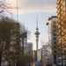 Sky tower, Auckland by creative_shots