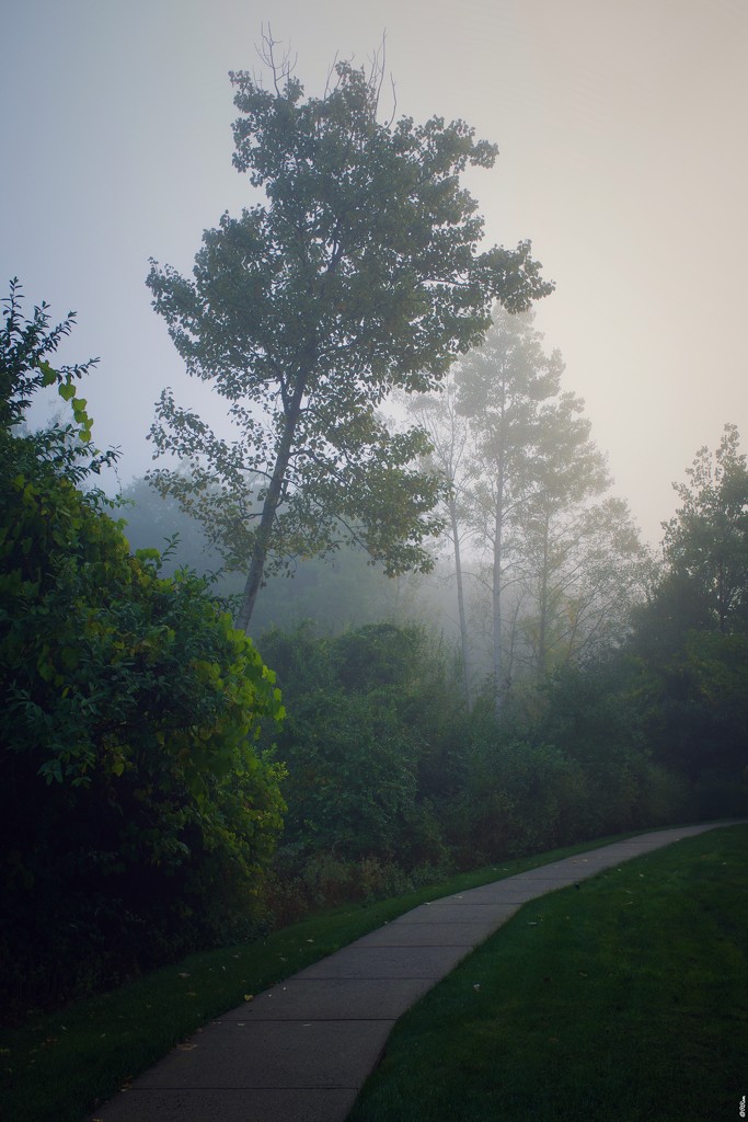Foggy Morning by ramr