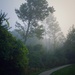 Foggy Morning by ramr
