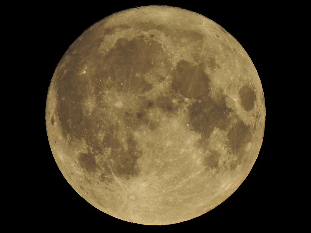 Full Moon by susiemc