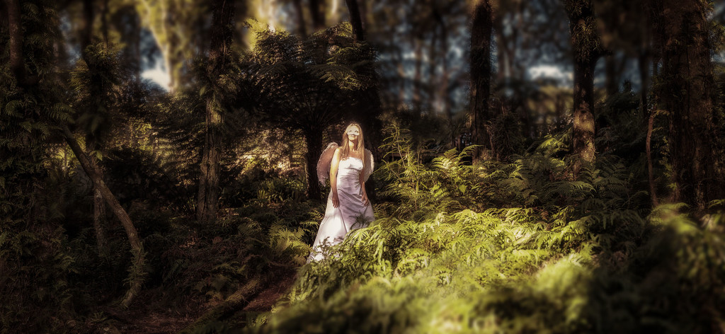 Angel of the Forest by helenw2