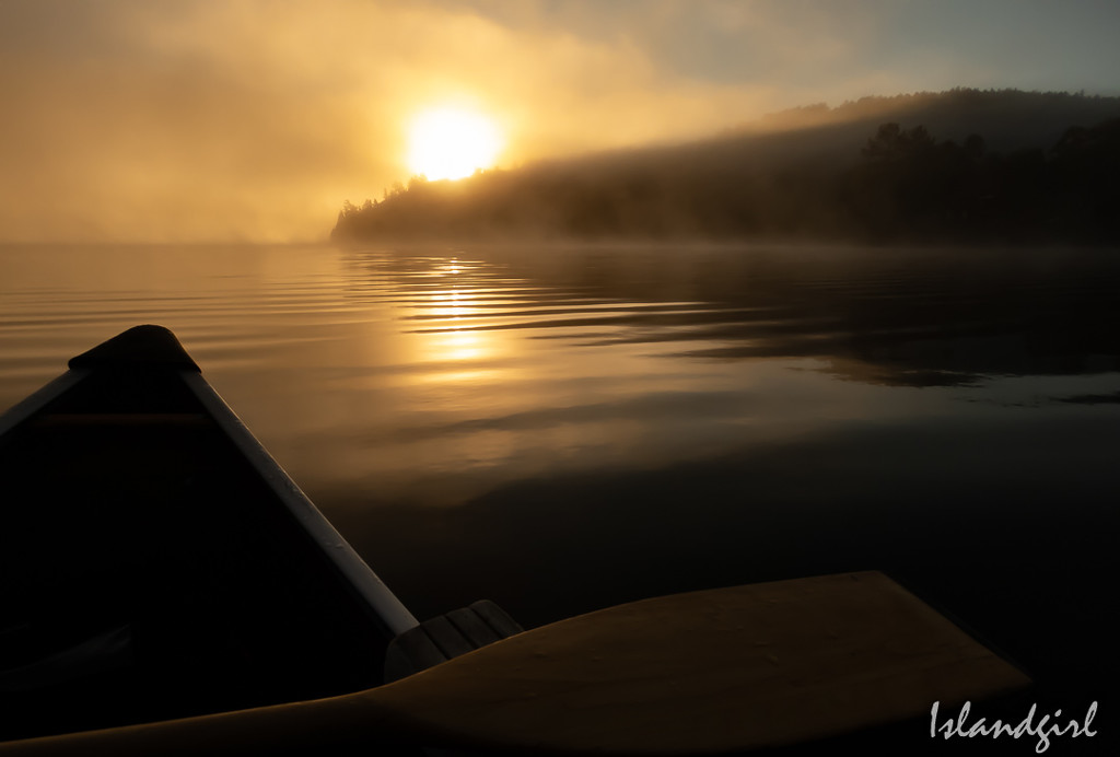 Foggy morning paddle  by radiogirl