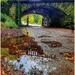 It has been so wet over the past week, i thought I'd take advantage of the puddles on our stroll in the park by lyndamcg