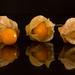 Gooseberries by seacreature