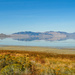 Great Salt Lake by danette