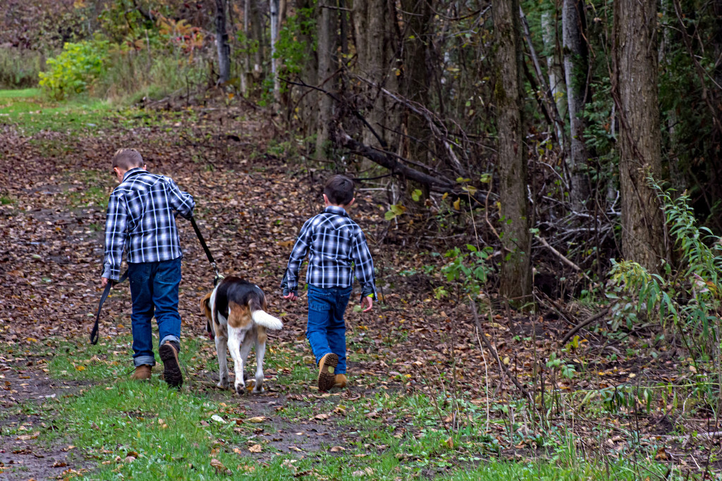Boys and their Dog by farmreporter