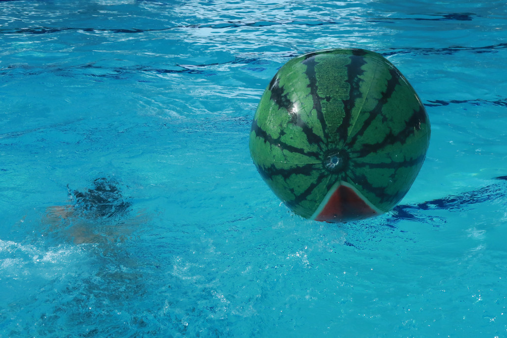 A huge watermelon by ingrid01