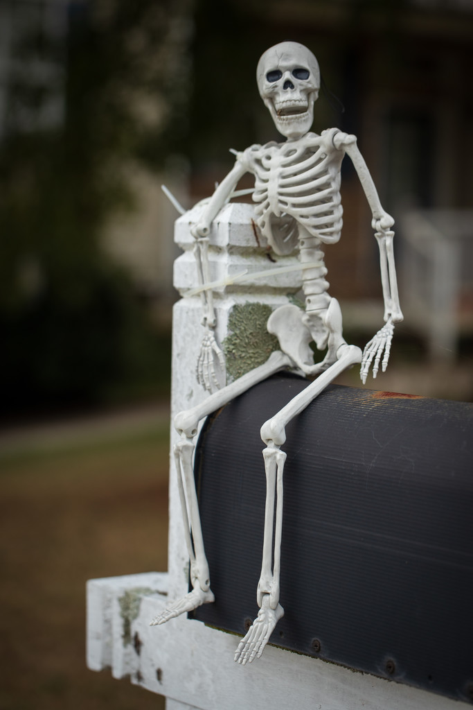 Skeleton by kvphoto