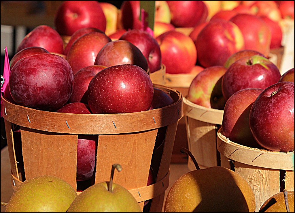 Apples at the Farmer's Market by olivetreeann