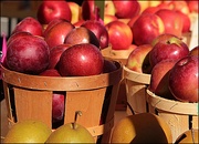 4th Oct 2019 - Apples at the Farmer's Market