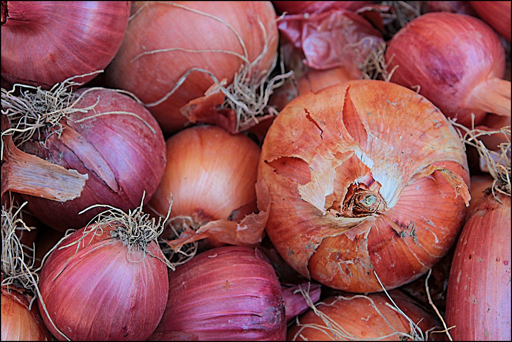 Onions at the Market by olivetreeann