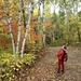 Checking out the Fall colours by radiogirl