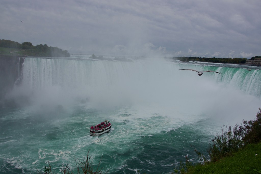 The Maid Of The Mist DSC_1596 by merrelyn