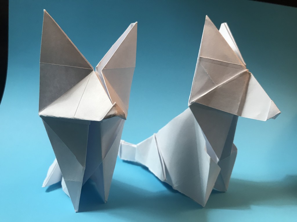 Foxes: Origami  by jnadonza