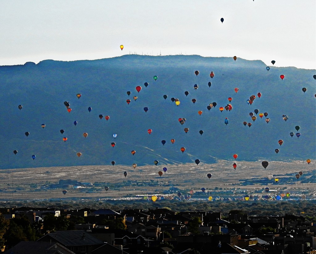 Albuquerque International Balloon Fiesta from our Back Deck by janeandcharlie