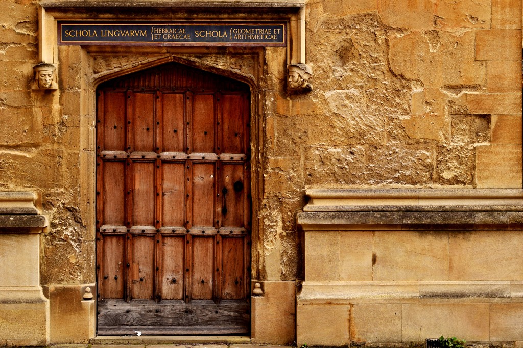 library door by christophercox