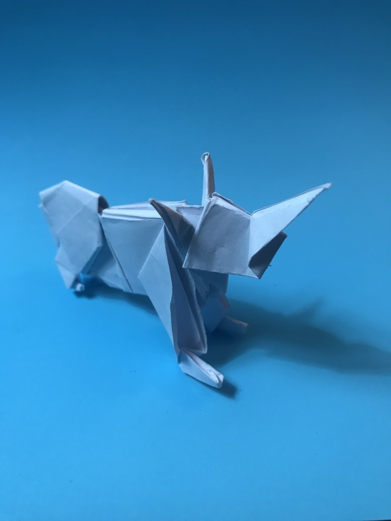 Rhino: Origami  by jnadonza