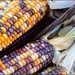 Indian Corn at the Farmer's Market by olivetreeann