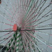 Ferris Wheel with Lights by sfeldphotos