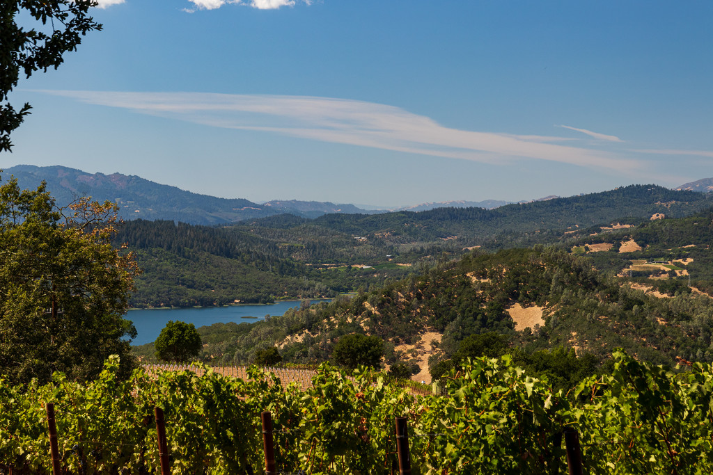 Wine Country Vacation by swchappell