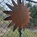 Sunshine on the Fence by mozette