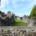 Thetford Priory Ruins by foxes37