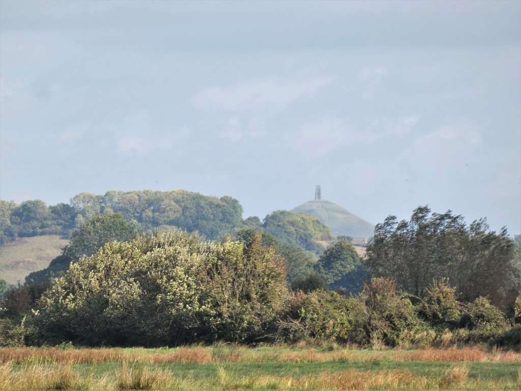 Glastonbury Tor from the Levels by julienne1