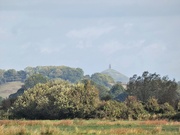 6th Oct 2019 - Glastonbury Tor from the Levels