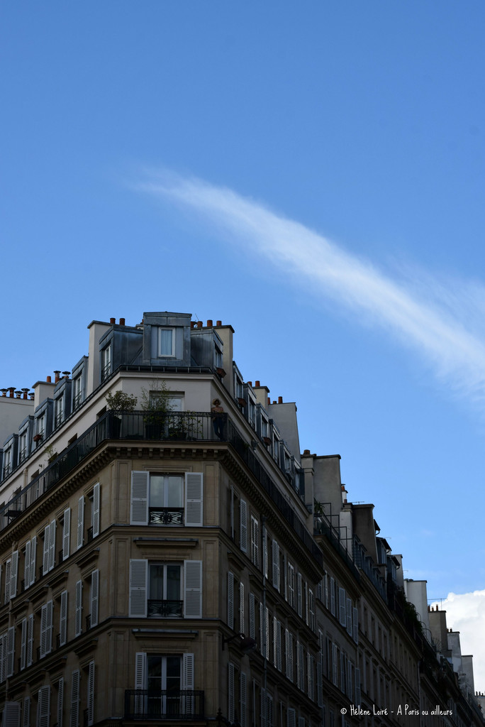Life in Paris  by parisouailleurs