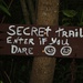 Day 272: Secret Trail at Work by jeanniec57