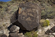 9th Oct 2019 - LHG_7604 Petroglyph Natl Monument