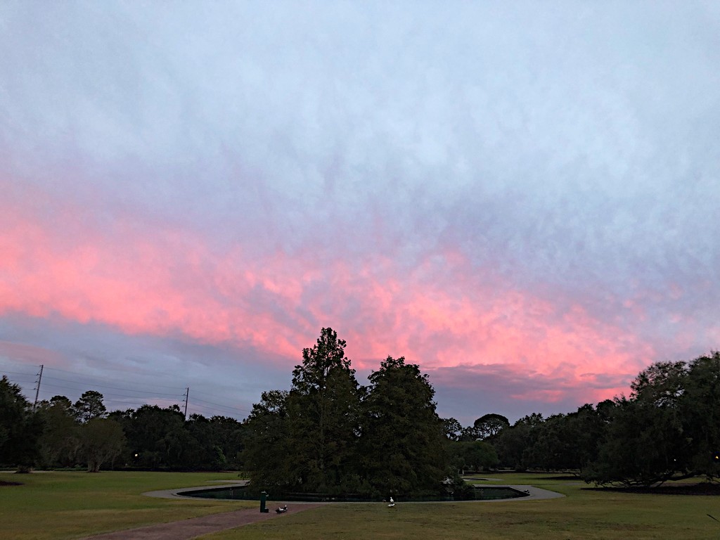 Sunset at Hampton Park, Charleston. by congaree