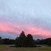 Sunset at Hampton Park, Charleston. by congaree