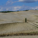 road in Val d'Orcia modified