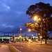 Morning in Frankston  by pictureme
