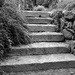 Steps by tdaug80