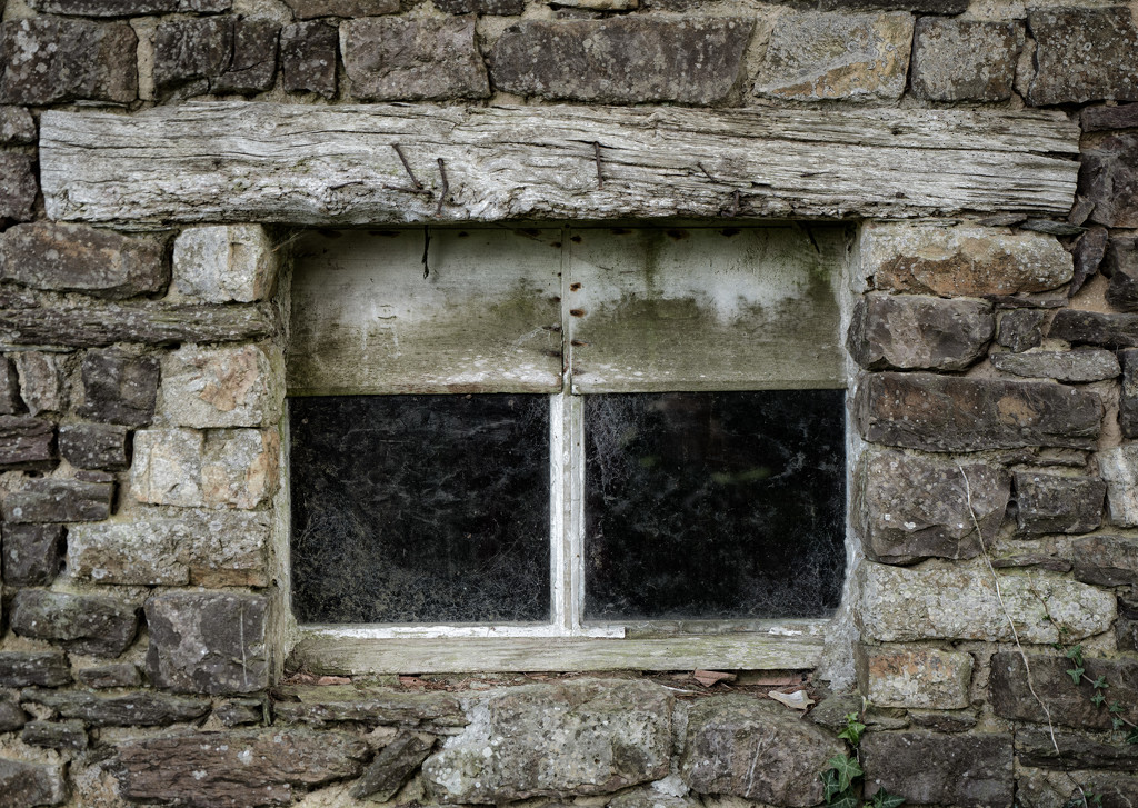 Abandoned Cottage - Window Detail by vignouse