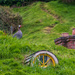 Guinea Fowl on a Hobbit house roof by yorkshirekiwi