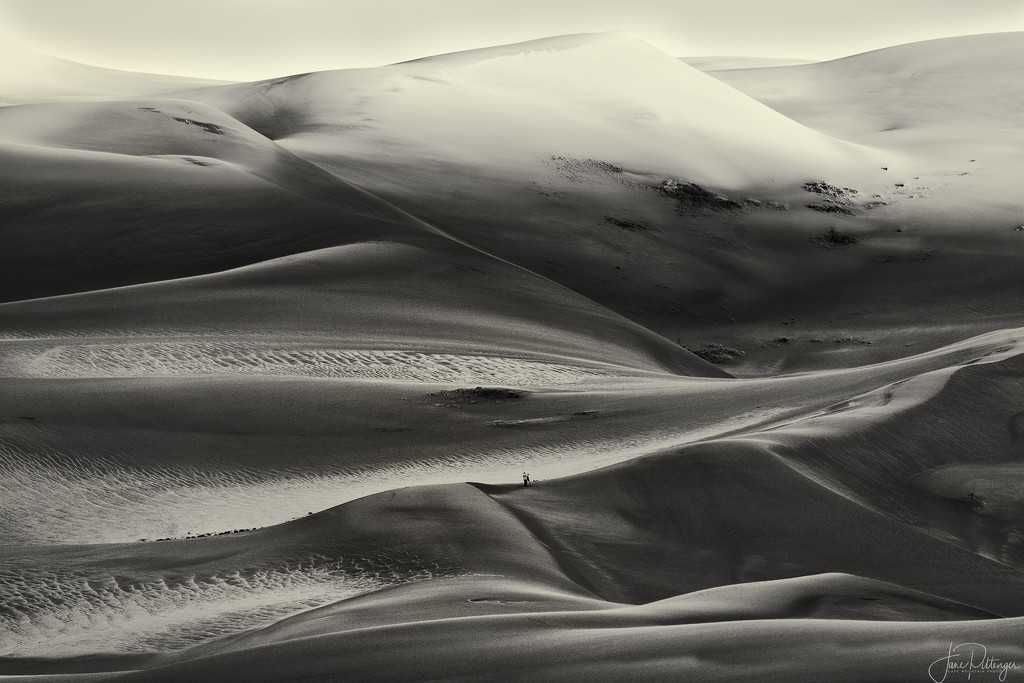 Photographer On the Dunes At Dawn-Mono by jgpittenger